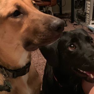 Meet your Posher, Jorge